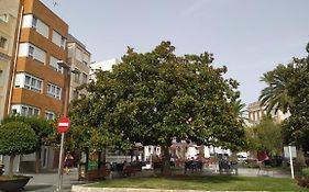 Estudios Placeta dels Bous - Plaza Constitución